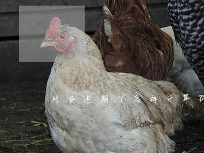 网贷逾期了怎样计算罚款 网贷逾期了怎样计算罚款