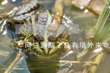 网贷逾期了总有境外来电 网贷逾期了总有境外来电