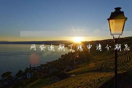 网贷逾期了想申请分期怎么办 网贷逾期了想申请分期怎么办