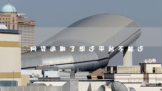 网贷逾期了想还平台不能还 网贷逾期了想还平台不能还