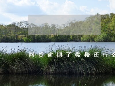 网贷逾期了慢慢还行么 网贷逾期了慢慢还行么