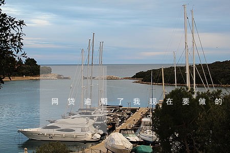 网贷逾期了我现在要做的是什么 网贷逾期了我现在要做的是什么