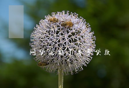 网贷逾期了房子贷款 网贷逾期了房子贷款