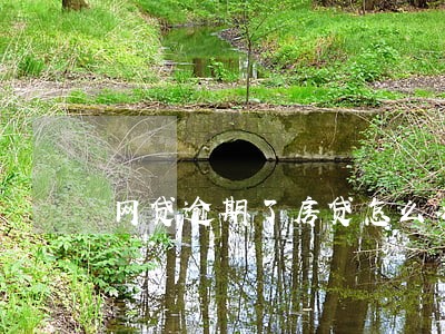网贷逾期了房贷怎么办 网贷逾期了房贷怎么办