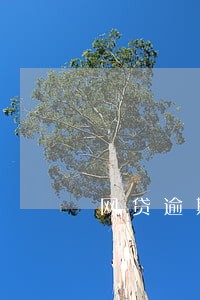 网贷逾期了手机拦截 网贷逾期了手机拦截