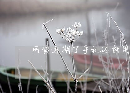 网贷逾期了手机还能用吗 网贷逾期了手机还能用吗