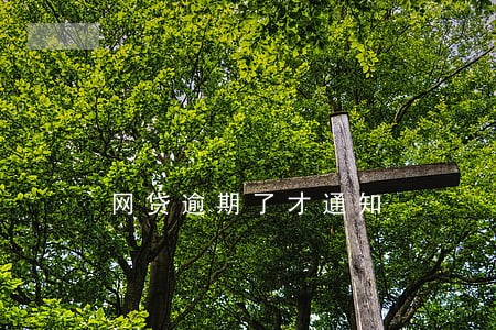 网贷逾期了才通知 网贷逾期了才通知