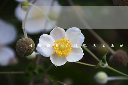 网贷逾期了打电话接还是不按 网贷逾期了打电话接还是不按