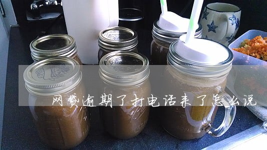 网贷逾期了打电话来了怎么说 网贷逾期了打电话来了怎么说