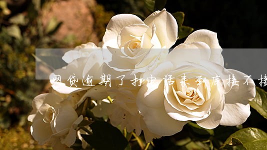 网贷逾期了打电话来到底接不接 网贷逾期了打电话来到底接不接