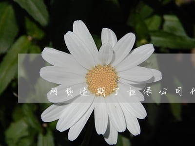 网贷逾期了担保公司代偿后被起诉