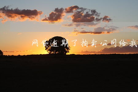 网贷逾期了拍卖公司给我打电话