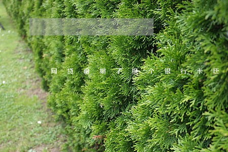 网贷逾期了换个银行卡还扣钱吗 网贷逾期了换个银行卡还扣钱吗