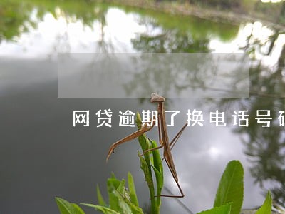 网贷逾期了换电话号码会怎样 网贷逾期了换电话号码会怎样