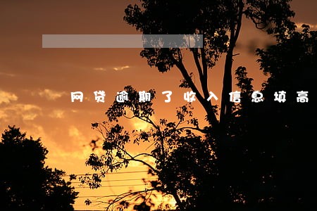 网贷逾期了收入信息填高了会怎样 网贷逾期了收入信息填高了会怎样