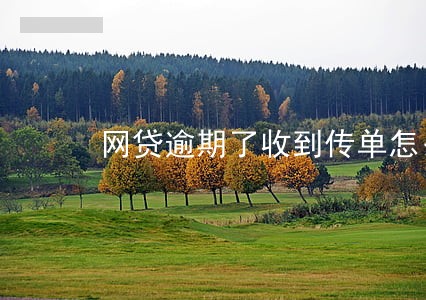 网贷逾期了收到传单怎么办