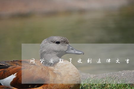 网贷逾期了收到法律文书怎么办 网贷逾期了收到法律文书怎么办