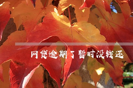 网贷逾期了暂时没钱还