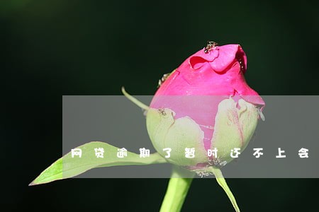 网贷逾期了暂时还不上会坐牢吗 网贷逾期了暂时还不上会坐牢吗