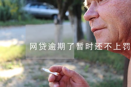 网贷逾期了暂时还不上罚金 网贷逾期了暂时还不上罚金