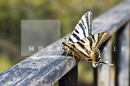 网贷逾期了暂时还不上被威胁轰炸 网贷逾期了暂时还不上被威胁轰炸