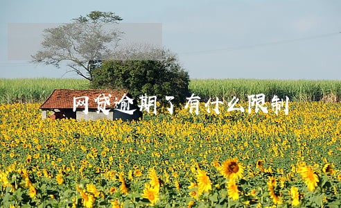 网贷逾期了有什么限制 网贷逾期了有什么限制