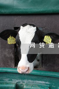 网贷逾期了有利息吗 网贷逾期了有利息吗
