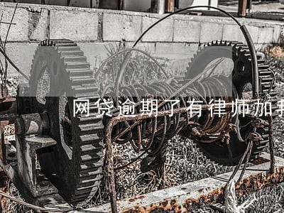 网贷逾期了有律师加我 网贷逾期了有律师加我