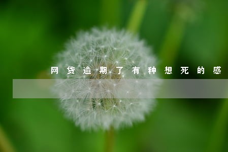 网贷逾期了有种想死的感觉 网贷逾期了有种想死的感觉