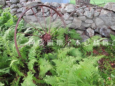 网贷逾期了本息翻倍合法吗 网贷逾期了本息翻倍合法吗