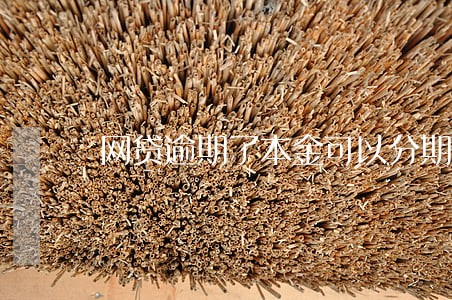 网贷逾期了本金可以分期吗 网贷逾期了本金可以分期吗