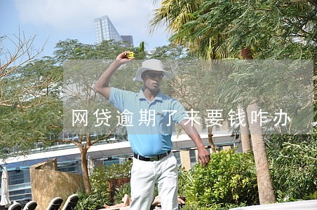 网贷逾期了来要钱咋办 网贷逾期了来要钱咋办