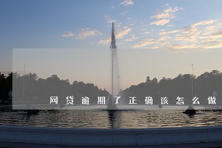 网贷逾期了正确该怎么做 网贷逾期了正确该怎么做