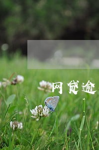 网贷逾期了每天几十个电话 网贷逾期了每天几十个电话