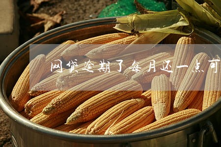 网贷逾期了每月还一点可以吗 网贷逾期了每月还一点可以吗