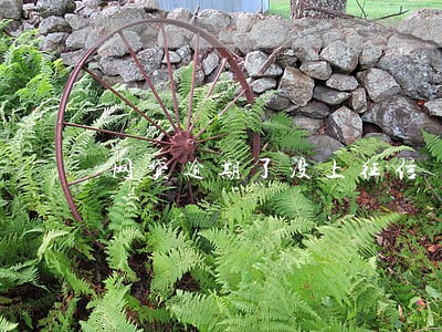 网贷逾期了没上征信 网贷逾期了没上征信