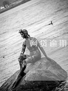 网贷逾期了没办法怎么办 网贷逾期了没办法怎么办