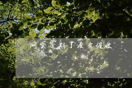 网贷逾期了没有催收 网贷逾期了没有催收