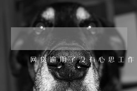 网贷逾期了没有心思工作了 网贷逾期了没有心思工作了
