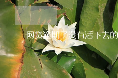 网贷逾期了没有活下去的勇气了