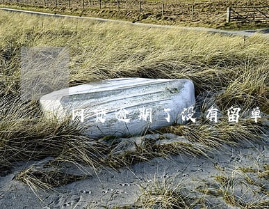 网贷逾期了没有留单位电话 网贷逾期了没有留单位电话