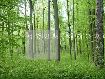 网贷逾期了没有能力还怎么处理 网贷逾期了没有能力还怎么处理