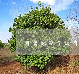 网贷逾期了没有还多久注销 网贷逾期了没有还多久注销