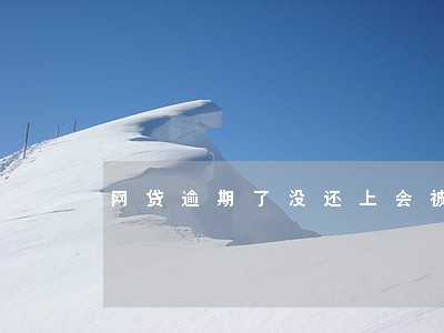 网贷逾期了没还上会被告骗贷吗 网贷逾期了没还上会被告骗贷吗