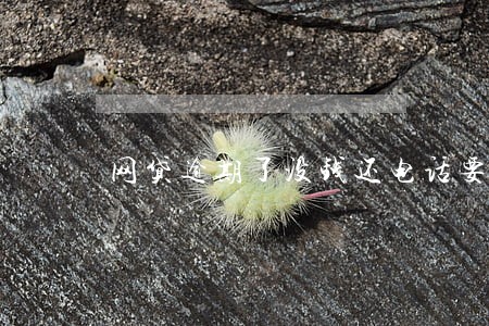 网贷逾期了没钱还电话要不要接 网贷逾期了没钱还电话要不要接