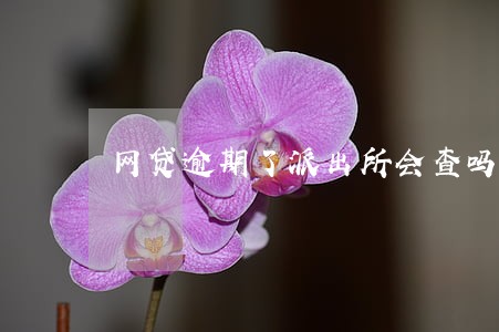网贷逾期了派出所会查吗 网贷逾期了派出所会查吗
