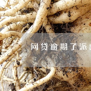 网贷逾期了派出所会馆不