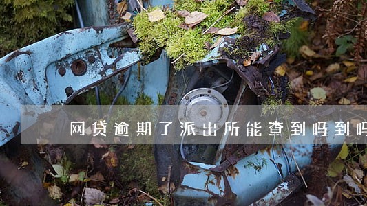网贷逾期了派出所能查到吗到吗 网贷逾期了派出所能查到吗到吗