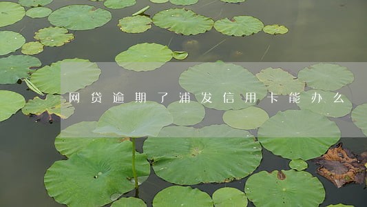 网贷逾期了浦发信用卡能办么