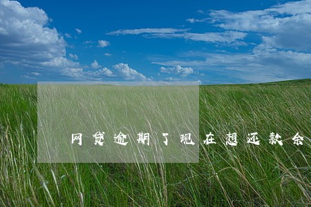 网贷逾期了现在想还款余款找谁 网贷逾期了现在想还款余款找谁